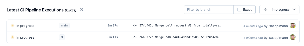 CI Pipeline Executions